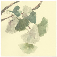 Gingko Leaves I -Paper Art-26"x26"