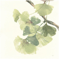 Gingko Leaves II Light -Paper Art-32"x32"