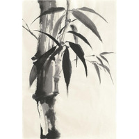 Sumi Bamboo Cream -Paper Art-26"x38"