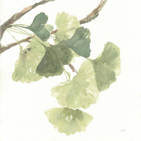 Gingko Leaves I on White -Paper Art-38"x38"