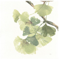 Gingko Leaves II on White -Paper Art-26"x26"