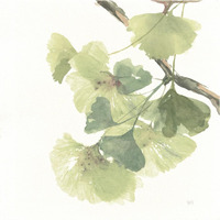 Gingko Leaves II on White -Paper Art-38"x38"