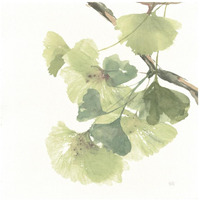 Gingko Leaves II on White -Paper Art-42"x42"