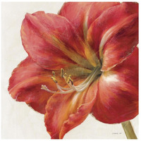 Vivid Amaryllis -Paper Art-26"x26"