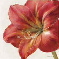 Vivid Amaryllis -Paper Art-38"x38"