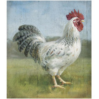 Noble Rooster IV v.2 Vintage No Border -Paper Art-27.8"x32"