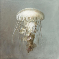 Treasures from the Sea VI -Paper Art-38"x38"