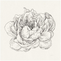 Pen and Ink Florals V -Paper Art-32"x32"