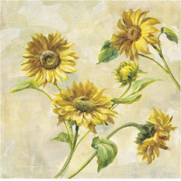 Farm Nostalgia Sunflowers -Paper Art-38"x38"