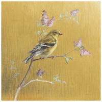 Female Goldfinch on Gold -Paper Art-26"x26"