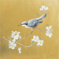 Nuthatch on Gold -Paper Art-38"x38"