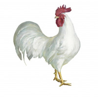 Noble Rooster I on White -Paper Art-38&quotx38"