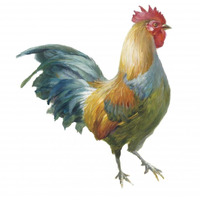 Noble Rooster III on White -Paper Art-26"x26"