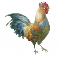 Noble Rooster III on White -Paper Art-32"x32"