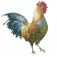 Noble Rooster III on White -Paper Art-38"x38"