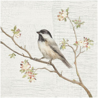 Black Capped Chickadee Vintage -Paper Art-32"x32"