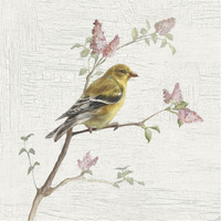 Female Goldfinch Vintage -Paper Art-38&quotx38"