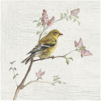 Female Goldfinch Vintage -Paper Art-42"x42"