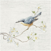 Nuthatch Vintage -Paper Art-20&quotx20"