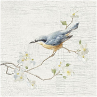 Nuthatch Vintage -Paper Art-32"x32"