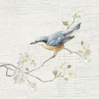 Nuthatch Vintage -Paper Art-38"x38"