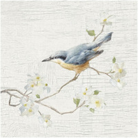 Nuthatch Vintage -Paper Art-42"x42"