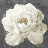 Vivid Floral I White Flower -Paper Art-38"x38"