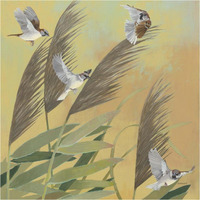 Sparrows and Phragmates Sq -Paper Art-38"x38"