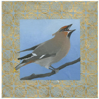 Cedar Waxwing -Paper Art-42"x42"