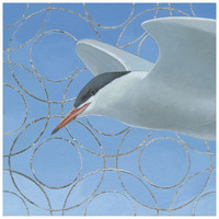 Common Tern -Paper Art-26"x26"