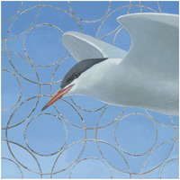 Common Tern -Paper Art-32"x32"