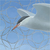 Common Tern -Paper Art-38"x38"