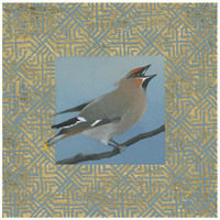 Cedar Waxwing Border -Paper Art-42&quotx42"