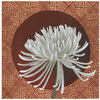 Morning Chrysanthemum III -Paper Art-20"x20"