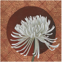 Morning Chrysanthemum III -Paper Art-32"x32"