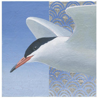 Common Tern II -Paper Art-26"x26"