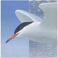 Common Tern II -Paper Art-32"x32"