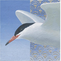 Common Tern II -Paper Art-38"x38"