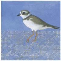 Plover -Paper Art-20&quotx20"