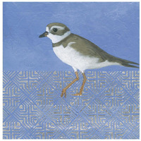 Plover -Paper Art-26"x26"