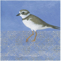 Plover -Paper Art-32"x32"