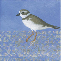 Plover -Paper Art-38"x38"