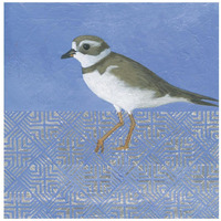 Plover -Paper Art-42"x42"