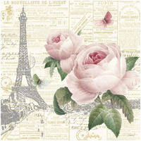 Roses in Paris III -Paper Art-32"x32"