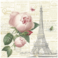 Roses in Paris IV -Paper Art-20"x20"