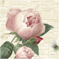 Roses in Paris V -Paper Art-32"x32"