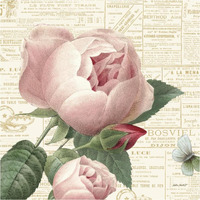 Roses in Paris V -Paper Art-38"x38"