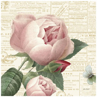 Roses in Paris V -Paper Art-42"x42"