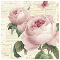 Roses in Paris VI -Paper Art-26&quotx26"