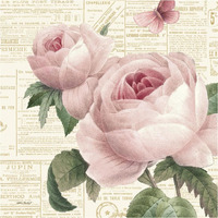 Roses in Paris VI -Paper Art-38"x38"